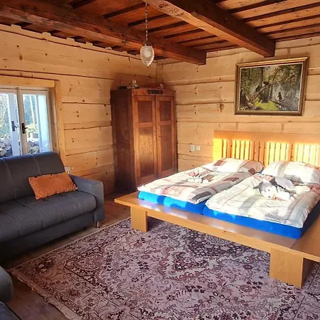 U Vojta Holiday home *
